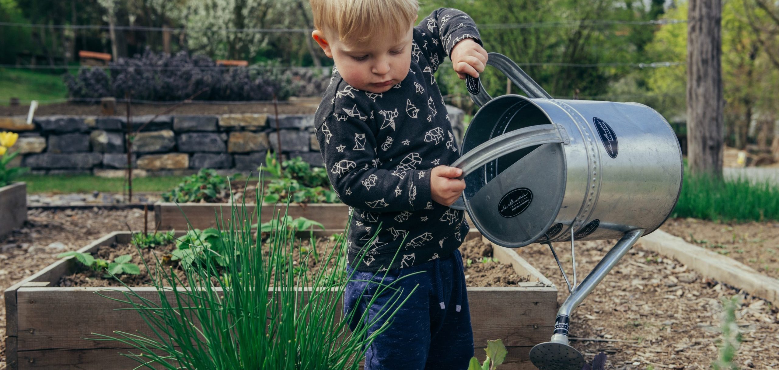 The Childminders Garden